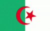 2x3' Algeria Nylon Flag