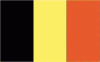 4x6" Belgium Rayon Mounted Flag