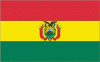 2x3' Bolivia Nylon Flag