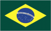 4x6" Brazil Rayon Mounted Flag