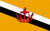 4x6" Brunei Rayon Mounted Flag