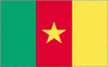 5x8' Cameroon Nylon Flag