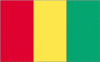 2x3' Guinea Nylon Flag