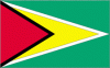 8x12" Guyana Rayon Mounted Flag