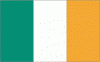 4x6" Ireland Rayon Mounted Flag