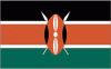 2x3' Kenya Nylon Flag