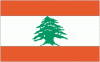 4x6' Lebanon Nylon Flag