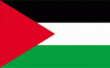2x3' Palestine Nylon Flag