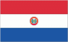 4x6' Paraguay Nylon Flag