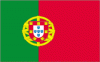 4x6" Portugal Rayon Mounted Flag