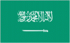 2x3' Saudi Arabia Nylon Flag