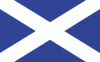 4x6" Scotland St. Andrew Rayon Mounted Flag