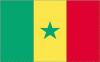 2x3' Senegal Nylon Flag