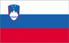 5x8' Slovenia Nylon Flag