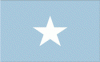 4x6" Somalia Rayon Mounted Flag