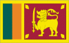 5x8' Sri Lanka Nylon Flag