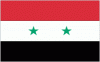 4x6" Syria Rayon Mounted Flag