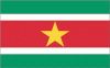 2x3' Suriname Nylon Flag