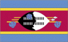 2x3' Swaziland Nylon Flag