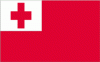 4x6" Tonga Rayon Mounted Flag