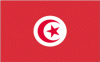 2x3' Tunisia Nylon Flag