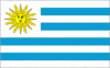 4x6" Uruguay Rayon Mounted Flag