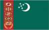 2x3' Turkmenistan Nylon Flag