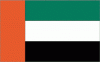 2x3' United Arab Emirates Nylon Flag