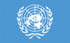4x6" United Nations Rayon Mounted Flag