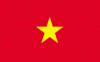 4x6" Vietnam Rayon Mounted Flag