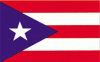 Puerto Rico Stick Flag - Rayon - 4x6"