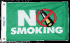 No Smoking Fun Flag - Nylon - 12x18"