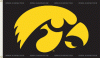 3x5' Iowa Hawkeyes Team Flag