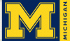 3x5' Michigan Wolverines Team Flag