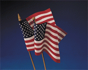 12x18" No-Fray American Stick Flag