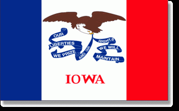 5x8' Iowa State Flag - Polyester