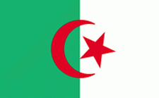 5x8' Algeria Nylon Flag