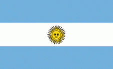8x12" Argentina Rayon Mounted Flag