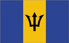 8x12" Barbados Rayon Mounted Flag