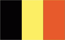 4x6" Belgium Rayon Mounted Flag
