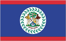 4x6" Belize Rayon Mounted Flag