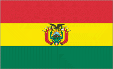 4x6" Bolivia Rayon Mounted Flag