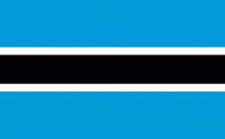 4x6" Botswana Rayon Mounted Flag