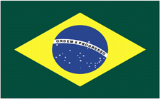 4x6" Brazil Rayon Mounted Flag