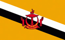 2x3' Brunei Nylon Flag