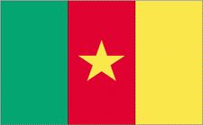 3x5' Cameroon Nylon Flag