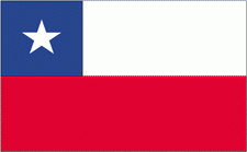 8x12" Chile Rayon Mounted Flag