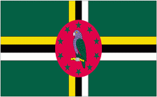 4x6" Dominica Rayon Mounted Flag