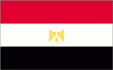 4x6" Egypt Rayon Mounted Flag