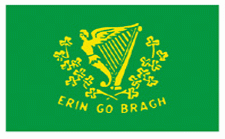 2x3' Erin-Go-Bragh Nylon Flag